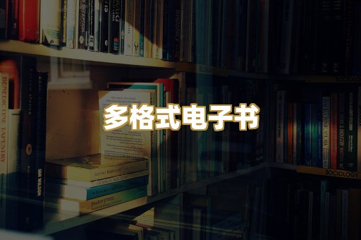 多格式电子书